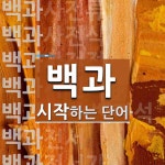 백과 시작 단어