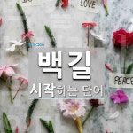 백길 시작 단어