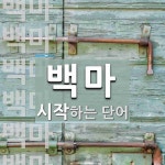 백마로 시작하는 단어는? 13개