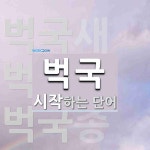 벅국으로 시작하는 단어는? 3개