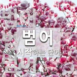 범어로 시작하는 단어는? 5개