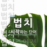 법치로 시작하는 단어는? 17개