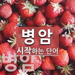 병암으로 시작하는 단어는? 2개