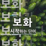 보화로 시작하는 단어는? 4개