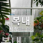 복내 시작 단어
