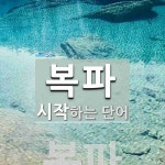 복파로 시작하는 단어는? 1개