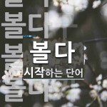 볼다로 시작하는 단어는? 6개