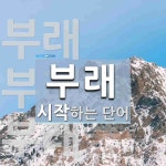부래 시작 단어