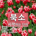 북소로 시작하는 단어는? 2개