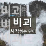 비괴로 시작하는 단어는? 3개