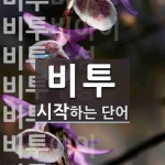 비투로 시작하는 단어는? 20개
