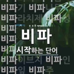 비파로 시작하는 단어는? 38개