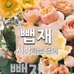 뺍재로 시작하는 단어는? 1개