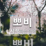 뽀비 시작 단어