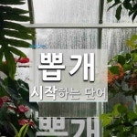 뽑개로 시작하는 단어는? 1개