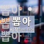 뽑아 시작 단어