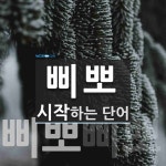 삐뽀 시작 단어