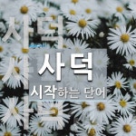 사덕으로 시작하는 단어는? 3개