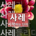사레로 시작하는 단어는? 7개