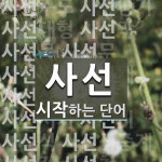 사선으로 시작하는 단어는? 54개
