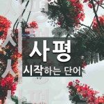 사평 시작 단어