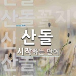 산돌로 시작하는 단어는? 5개