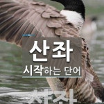 산좌로 시작하는 단어는? 1개
