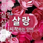 살랑으로 시작하는 단어는? 11개