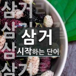 삼거로 시작하는 단어는? 6개