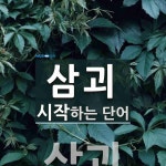 삼괴 시작 단어