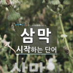 삼막으로 시작하는 단어는? 2개