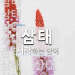삼태로 시작하는 단어는? 17개