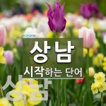 상남으로 시작하는 단어는? 3개