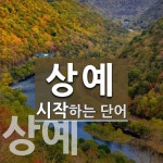 상예로 시작하는 단어는? 2개