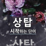 상탑 시작 단어