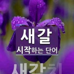 새갈로 시작하는 단어는? 1개