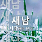 새남으로 시작하는 단어는? 5개