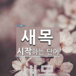 새목으로 시작하는 단어는? 1개