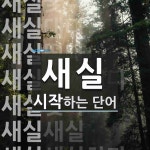 새실로 시작하는 단어는? 11개