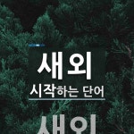 새외로 시작하는 단어는? 1개