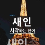 새인 시작 단어