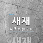 새재로 시작하는 단어는? 1개