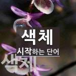 색체 시작 단어