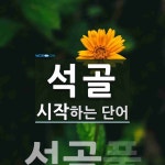 석골로 시작하는 단어는? 1개