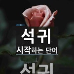석귀로 시작하는 단어는? 1개