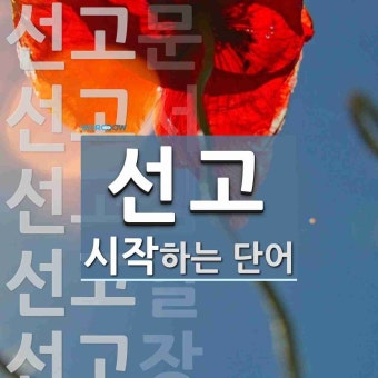 선고로 시작하는 단어는? 15개