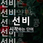 선비로 시작하는 단어는? 12개