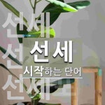 선세로 시작하는 단어는? 4개