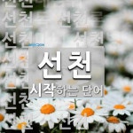 선천 시작 단어