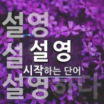 설영으로 시작하는 단어는? 3개